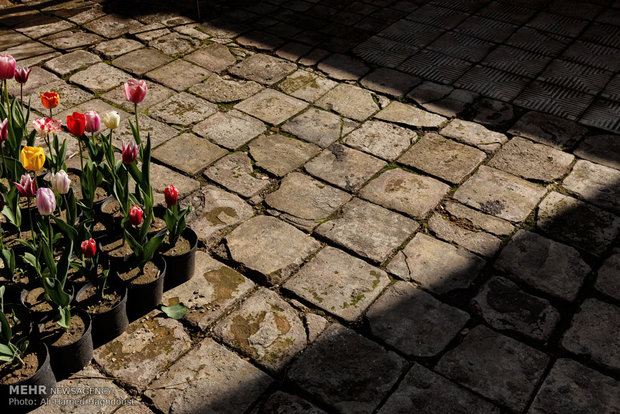 Tulip house in Tabriz