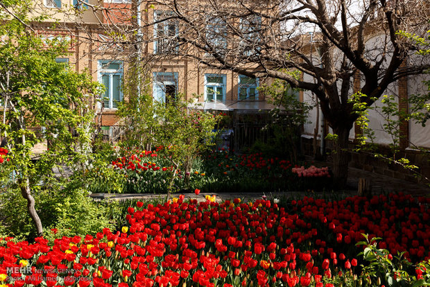 Tulip house in Tabriz