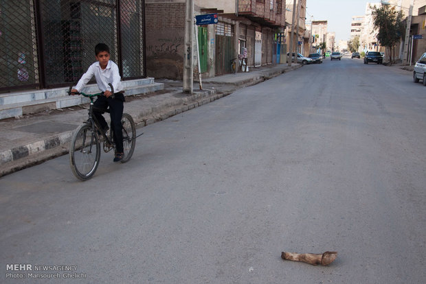 قسمتی از بدن گاو ذبح شده  در یکی از خیابان های زابل