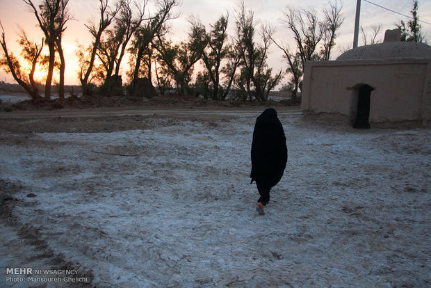 حضور زن زابلی در زمینهای خشک شده کشاورزی روستاهای اطراف زابل