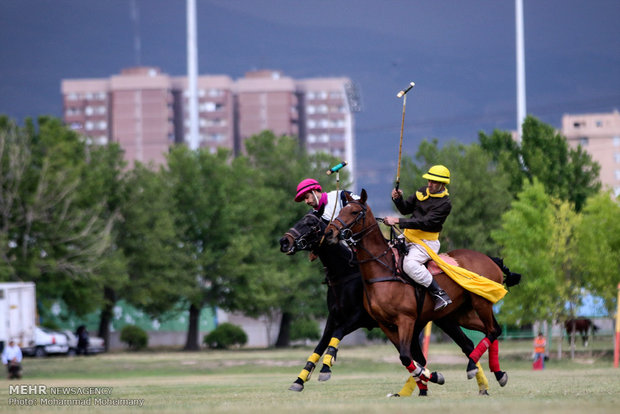 Polo played for nomination on UNESCO list