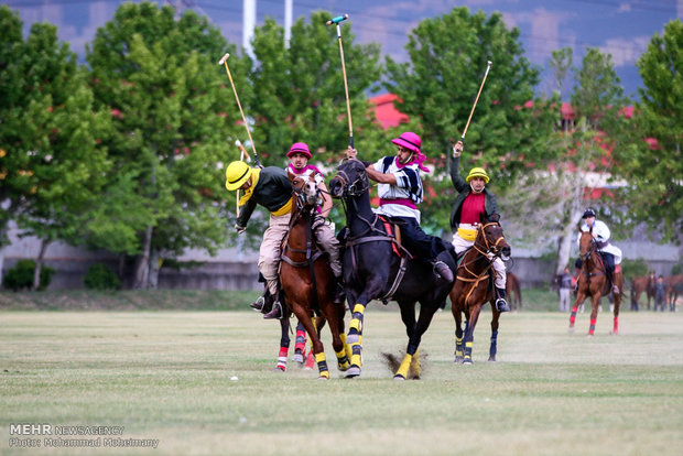 Polo played for nomination on UNESCO list