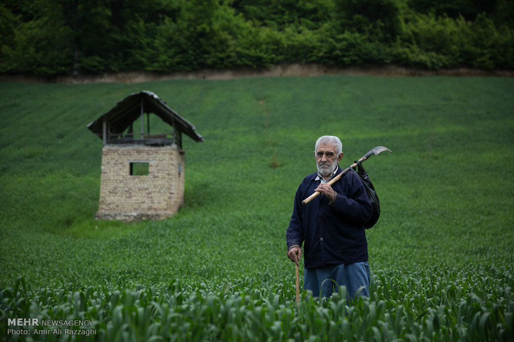 Iranians celebrate Father’s Day