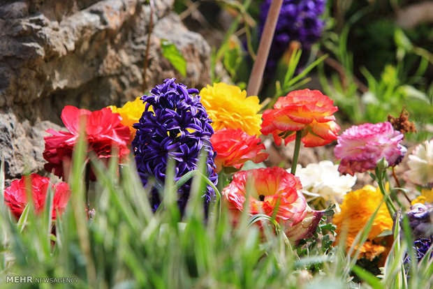 Isfahan Flower Garden 