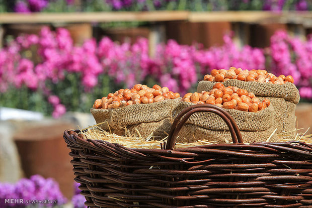 Isfahan Flower Garden 