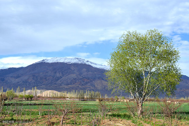 دامنه های قلۀ 4 هزار متری شاهوار