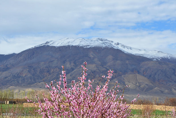 دامنه های قلۀ 4 هزار متری شاهوار