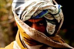 ۱۵ عضو گروه طالبان در «فاریاب» کشته شدند