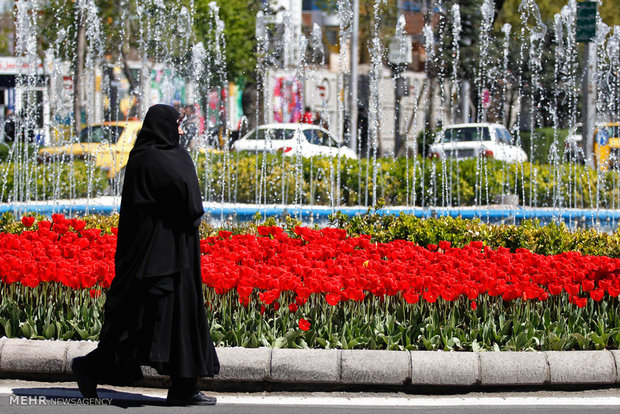 Tabriz hosts tulips