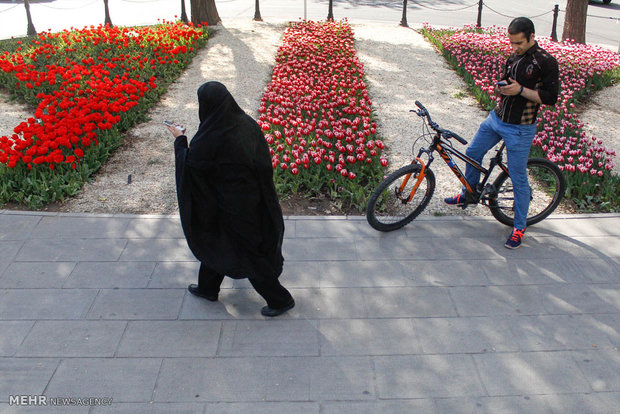 Tabriz hosts tulips