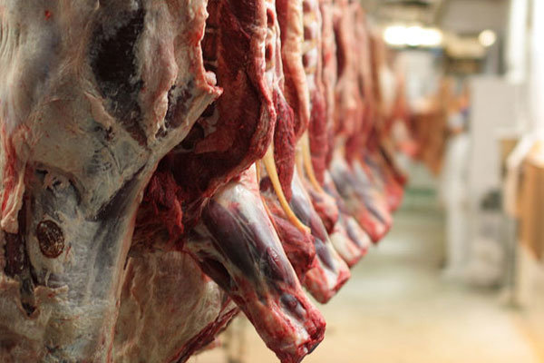 سرانه مصرف گوشت قرمز ایرانی ها  ۲۵ درصد کاهش یافت