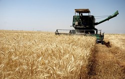 ۲۵ هزار تن محصولات زراعی در شهرستان آبدانان برداشت می شود
