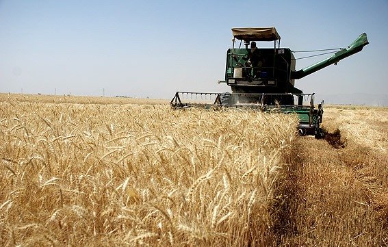 ضریب امنیت غذایی فارس بیش از ۸۰ درصد خواهد شد