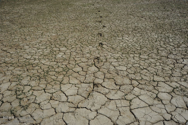 بحيرة هامون تموت تحت الجفاف
