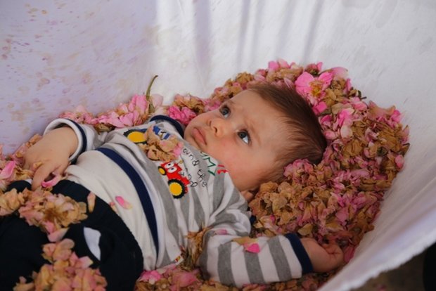 حضور ۱۰۰ نوزاد در جشنواره گل غلتان امیریه پیش‌بینی می‌شود
