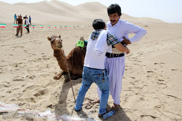 البطولة السادسة لسباق الهجن في ايران