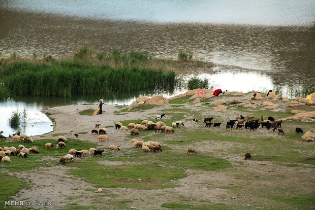 تالاب های شهرستان پلدختر