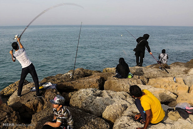 مسابقه ماهیگیری خانوادگی در جزیره کیش