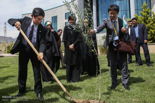 Iran, Japan plant ‘trees for peace’