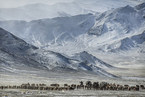 کوچ بهاری در سرمای زیر 40 درجه‎