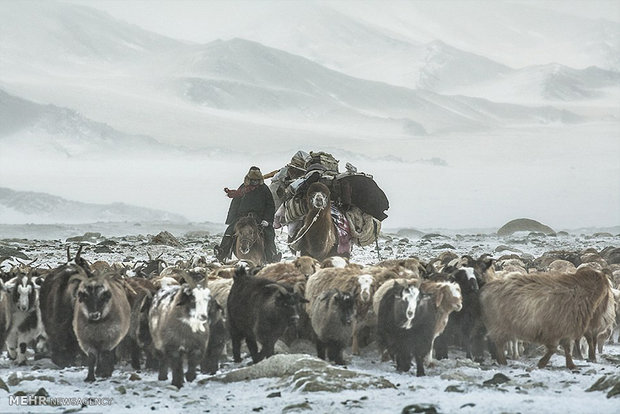 کوچ بهاری در سرمای زیر 40 درجه‎