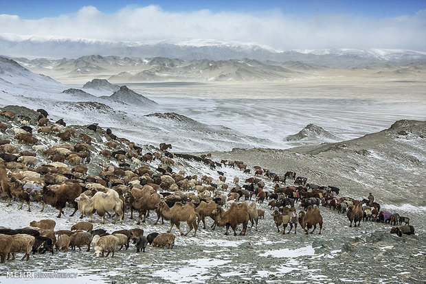 کوچ بهاری در سرمای زیر 40 درجه‎