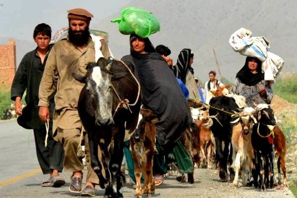 مخالفت  سازمان ملل با طرح پاکستان برای اخراج مهاجران افغانستان