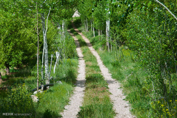 Kakan Rural District