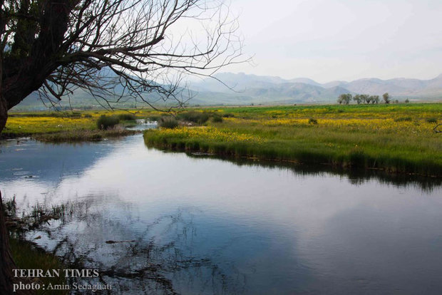 Kakan Rural District