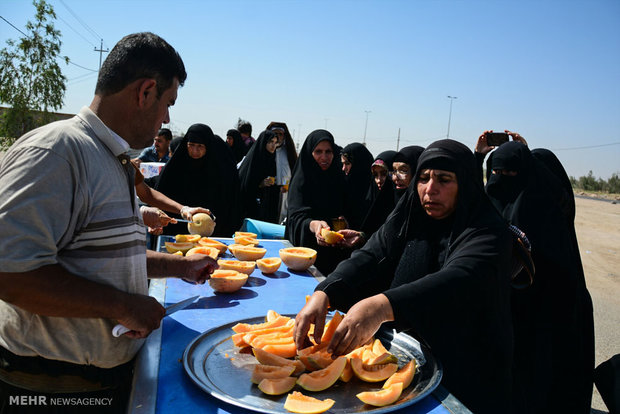 مسيرة النصف من شعبان من النجف إلى كربلاء