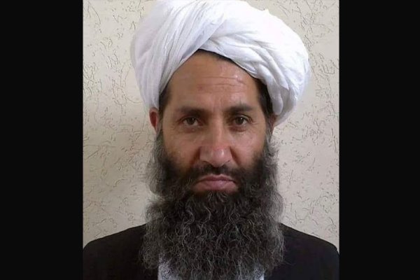 گروه طالبان در هرات از «ملا هیبت الله» حمایت نمی کند