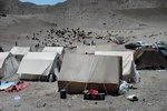 بهره‌برداری از شاهراه عشایری با اعتبار ۲.۵ میلیارد تومان در درمیان