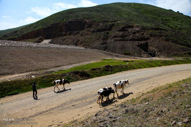 کشاورزان ایلامی چشم انتظار اجرای مصوبات سفر رئیس جمهور