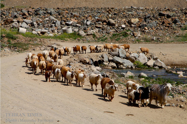 Iranian nomads in Arasbaran