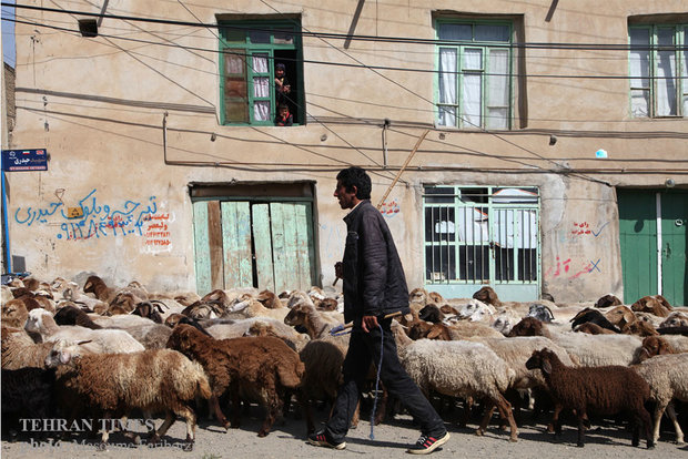 Iranian nomads in Arasbaran