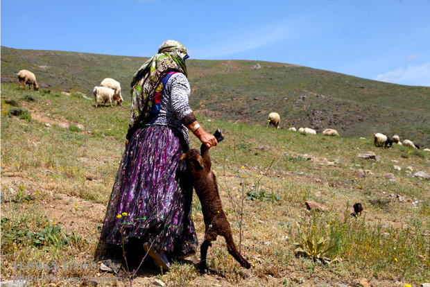 Iranian nomads in Arasbaran