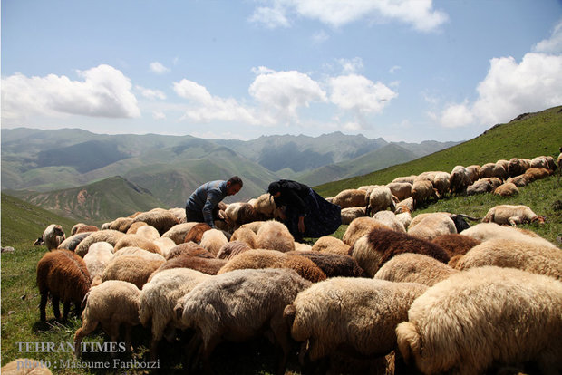 Iranian nomads in Arasbaran