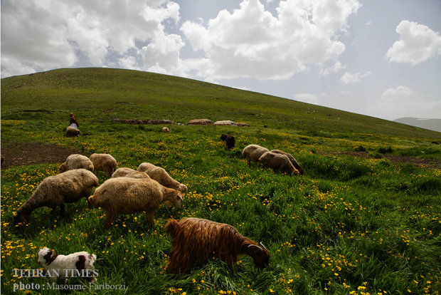 Iranian nomads in Arasbaran