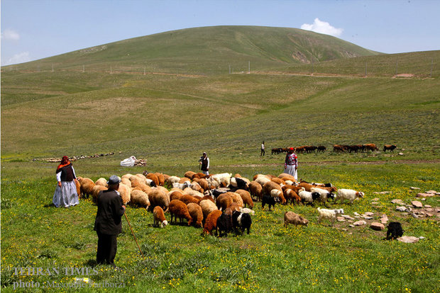 Iranian nomads in Arasbaran