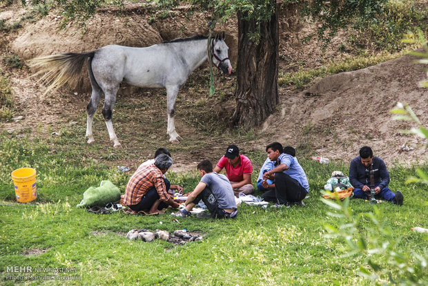 2nd Natl. Festival of Turkmen horse