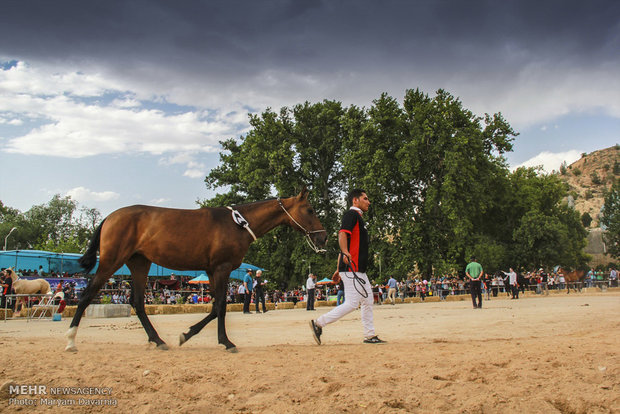 2nd Natl. Festival of Turkmen horse