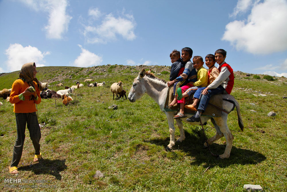 پیچ و خم مشکلات در مسیر کوچ/ عشایر چشمبهراه حمایت بیشترند