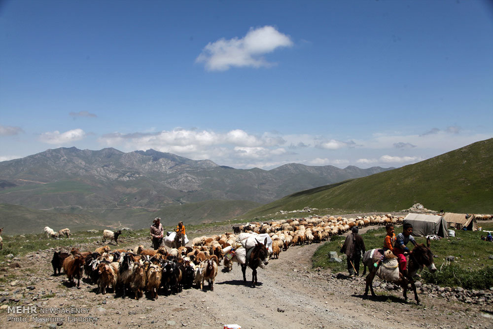 پیچ و خم مشکلات در مسیر کوچ/ عشایر چشمبهراه حمایت بیشترند