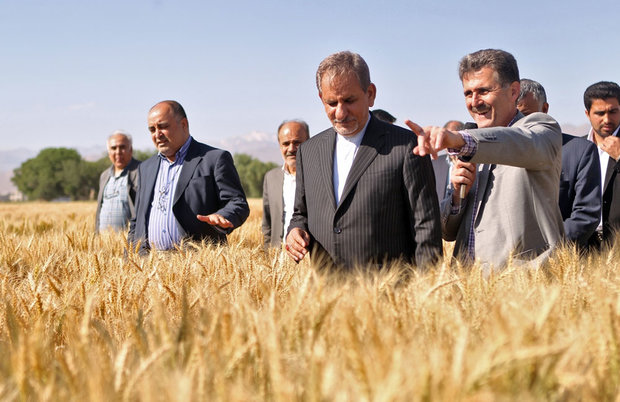 New agricultural, garden products unveiled in Iran