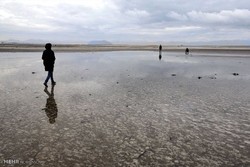 فاز اصلی احیای دریاچه ارومیه مهرماه امسال بصورت جدی کلید می خورد