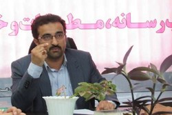 هزار تن مرغ و شکر تنظیم بازار در خراسان جنوبی توزیع شد