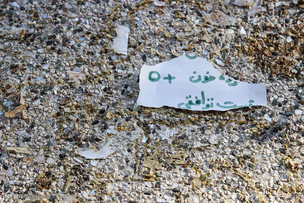 از نبود نهاد حمایتی تا موج‌سواری سودجویان؛ پشت پرده آگهی فروش کلیه