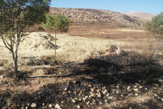 ۵۸ هکتار از اراضی خراسان شمالی هم‌مرز با ترکمنستان در آتش سوخت 