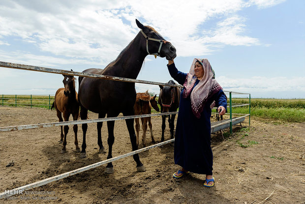 عایشه گری، 53 ساله، همسر مجید ایری مربی 62 ساله اسب است. زندگی آنها در روستای گره ی دوجی با اسب عجین شده است.