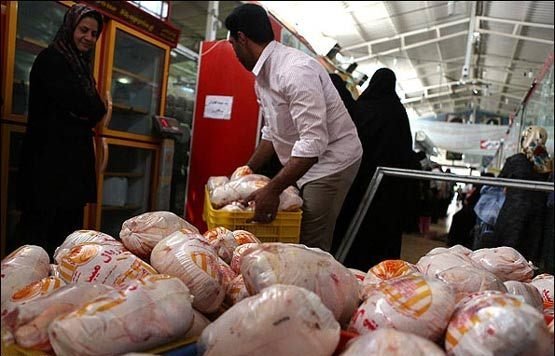 مرغ ارزان شد/ نرخ جدید انواع ماهی در بازار